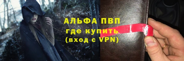 гидра Вязьма