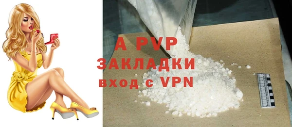 гидра Вязьма