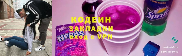 apvp Вяземский