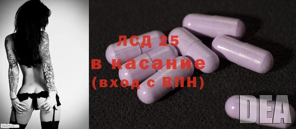 гидра Вязьма