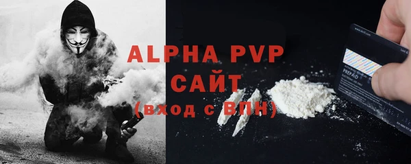 гидра Вязьма