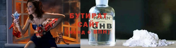 гидра Вязьма
