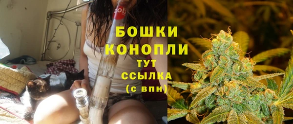 гидра Вязьма
