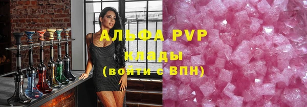 гидра Вязьма