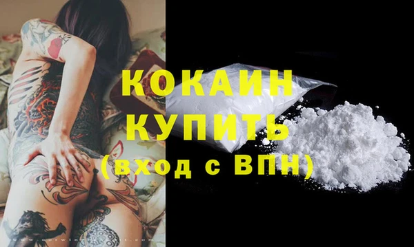 гидра Вязьма