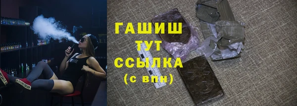 гидра Вязьма