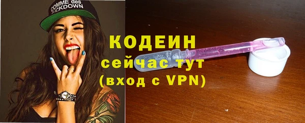 apvp Вяземский