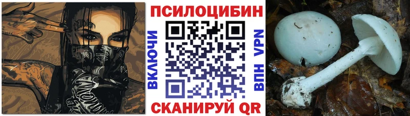OMG онион  Заволжск  Псилоцибиновые грибы Magic Shrooms  наркотики 